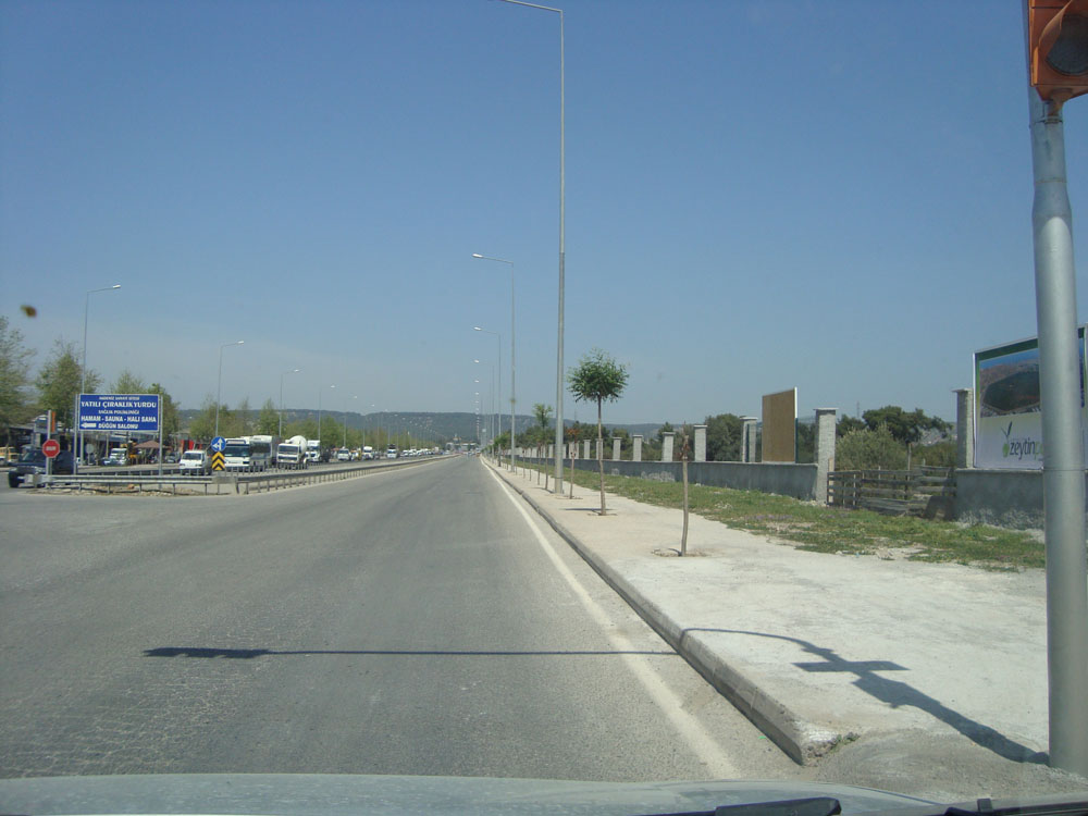 Zeytinlik Projemiz galeri görseli